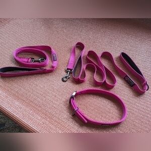 Max & Neo Size Large Pink Reflective Dog Collar & (2) Leashes Set & Harness